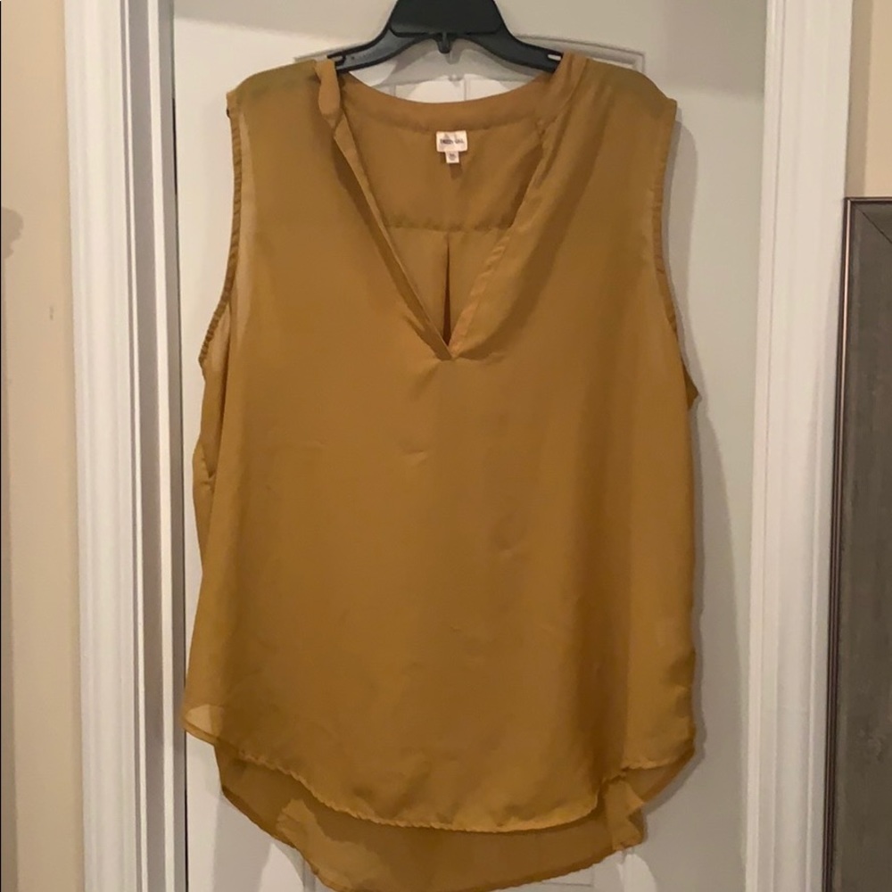 Sleeveless Blouse 3x